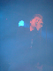 DSC02940